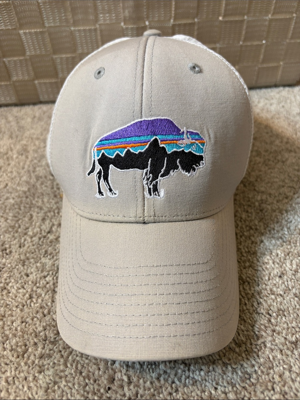 Patagonia Fitz Roy Bison LoPro Trucker Hat White Mesh Snapback